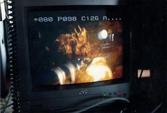 Pollux found !