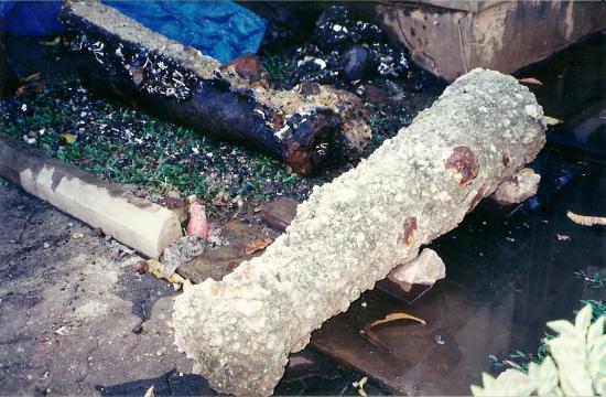 Cannon from the Ontario wreck