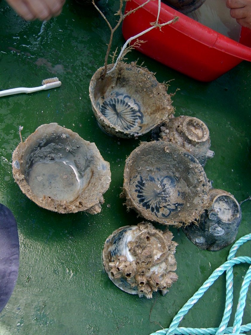 Freshly found on the seabed