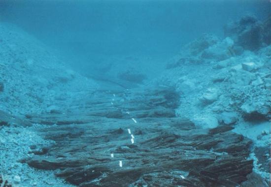 Ontario Reef