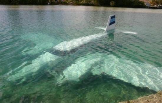 Plane underwater