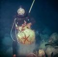 Very busy diver...
