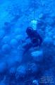 Depth 120 feet..!